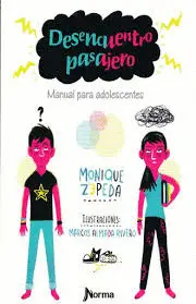 Desencuentro Pasajero