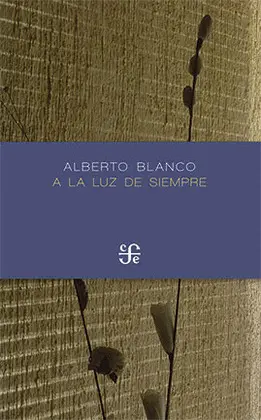 A la Luz de Siempre