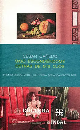 Sigo Escondiéndome Detrás de Mis Ojos