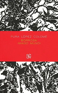 Borrosa Imago Mundi