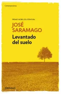 Levantado del Suelo