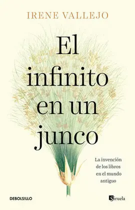 Infinito en un Junco, el