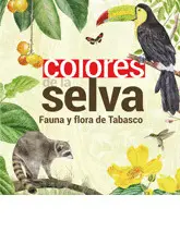 COLORES DE LA SELVA
