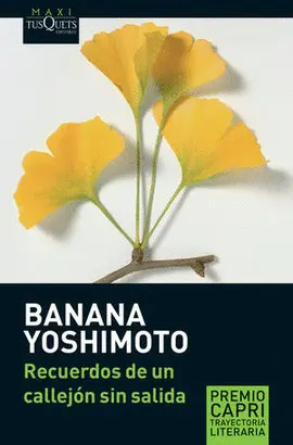 Recuerdos de un Callejón sin Salida