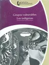GRUPOS VULNERABLES, LOS INDÍGENAS