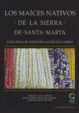 Maíces Nativos de la Sierra de Santa Marta, los