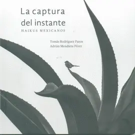 Captura del Instante, la