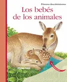 Bebés de los Animales, los