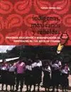 Indígenas, Mexicanos y Rebeldes