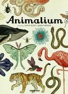 Animalium