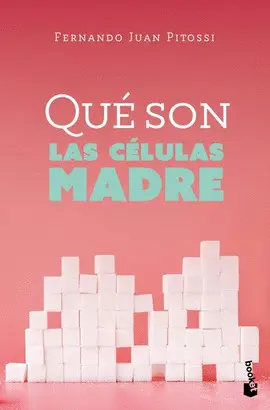 Qué Son las Células Madre