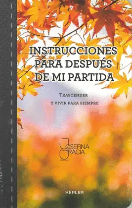 Instrucciones para Después de mi Partida