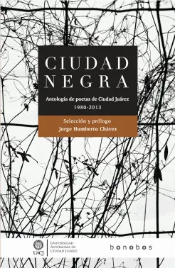 Ciudad Negra