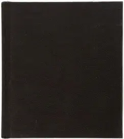 Les Enfants Terribles