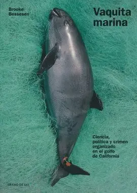 VAQUITA MARINA