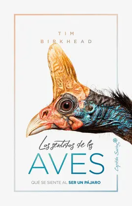 Sentidos de las Aves, los