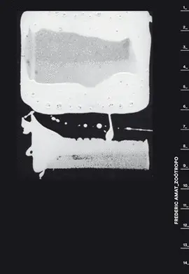 Frederic Amat Zoótropo