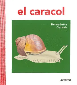 Caracol, el