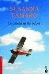 Cabeza en las Nubes, la