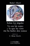 Sobre los Ángeles; yo Era un Tonto y lo que He Visto me Ha Hecho Dos Tontos