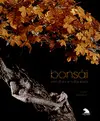 Bonsai, Escultura, Naturaleza