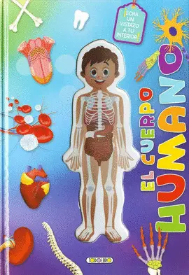 Cuerpo Humano, el