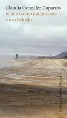 Te Miro Como Quien Asiste a un Deshielo