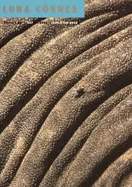 Luna Córnea Núm. 20