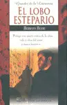 Lobo Estepario, el