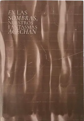 En las Sombras, nuestros Fantasmas Acechan