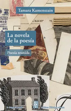 Novela de la Poesía, la