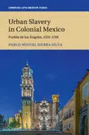 Urban Slavery In Colonial Mexico