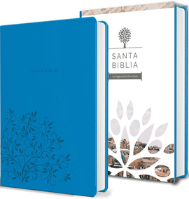 BIBLIA REINA VALERA 1960. LETRA GRANDE, TAMAO MANUAL