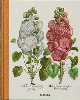 BASILIUS BESLER. THE GARDEN AT EICHSTÄTT BASILIUS BESLER. THE GARDEN AT EICHSTÄTT