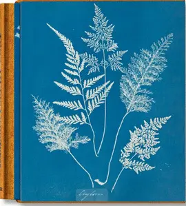 CYANOTYPES