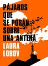 PÁJAROS QUE SE POSAN SOBRE UNA ANTENA