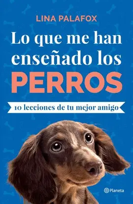 Lo que me Han Enseñado los Perros