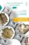 ¡Hay un Dinosaurio en mi Sopa!