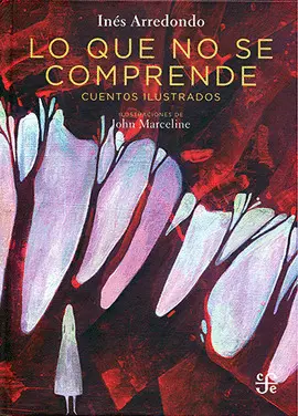 Lo que no se Comprende
