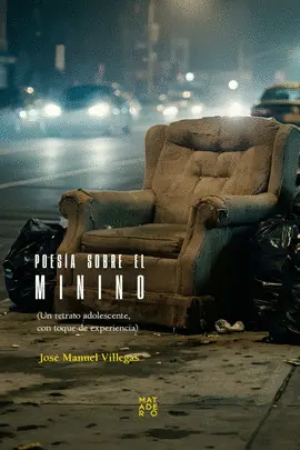 Poesía Sobre el Minino