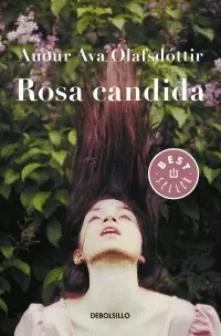 Rosa Candida