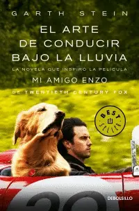 Arte de Conducir Bajo la Lluvia, el