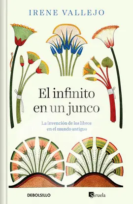 Infinito en un Junco, el