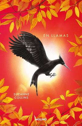 EN LLAMAS