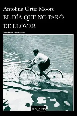 DÍA QUE NO PARÓ DE LLOVER, EL
