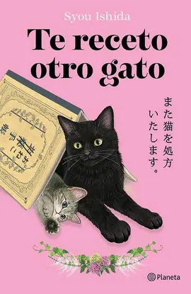 Te Receto Otro Gato