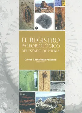 REGISTRO PALEOBIOLÓGICO DEL ESTADO DE PUEBLA, EL
