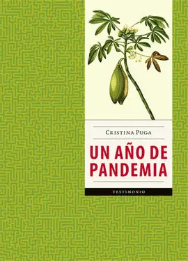 UN AÑO DE PANDEMIA