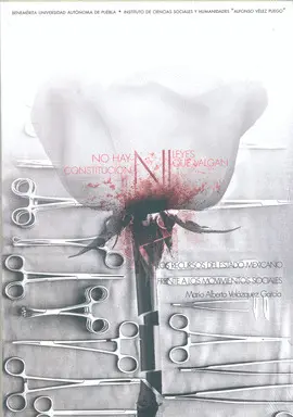 No Hay Constitución Ni Leyes que Valgan