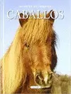 Caballos